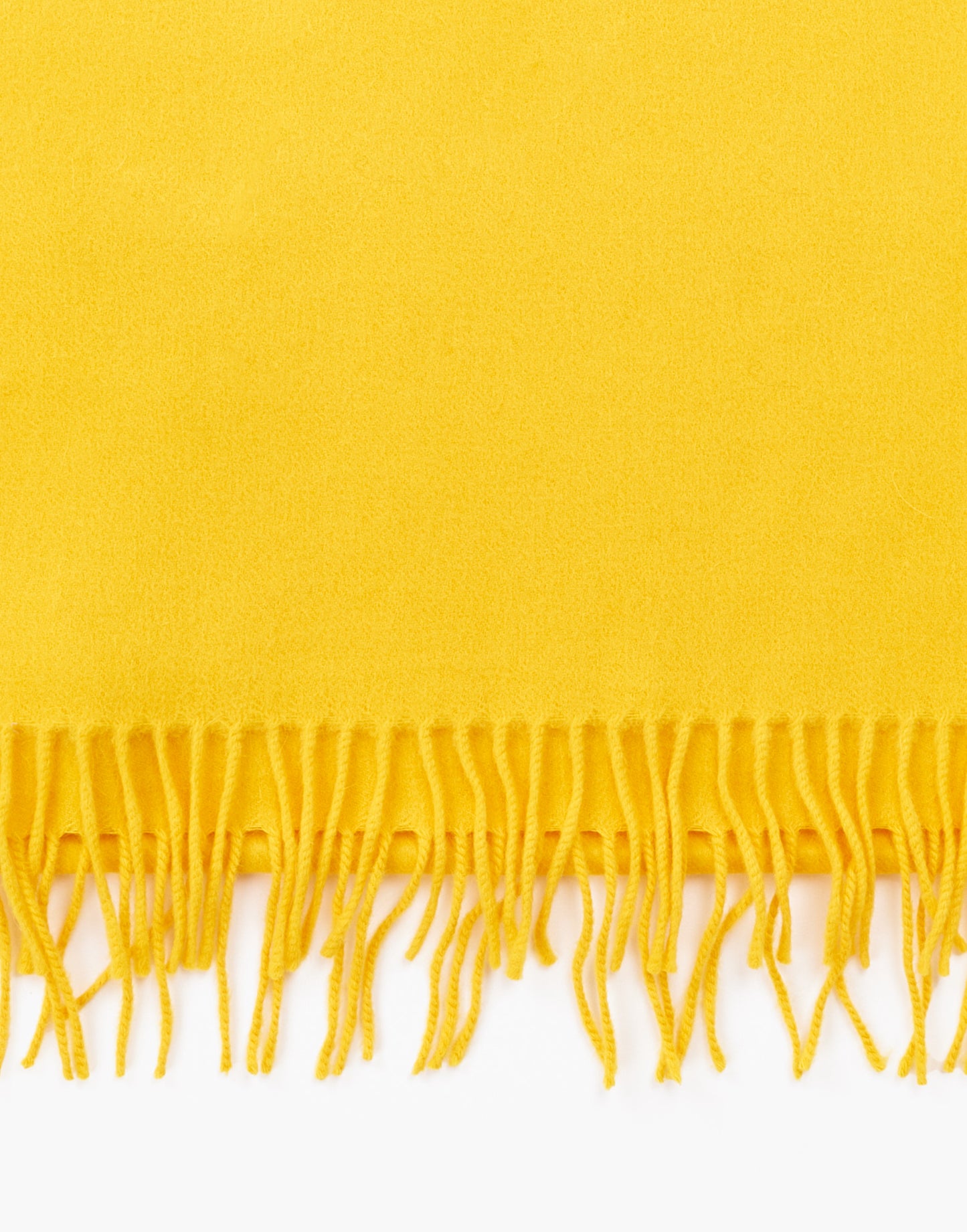 Sciarpa ALEX BEGG Frange
Giallo