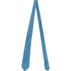 Cravatta PETRONIUS Fiore - quadro
Bluette