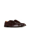 Scarpe ALEXANDER HOTTO Derby
Testa di moro