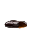 Scarpe ALEXANDER HOTTO Derby
Testa di moro