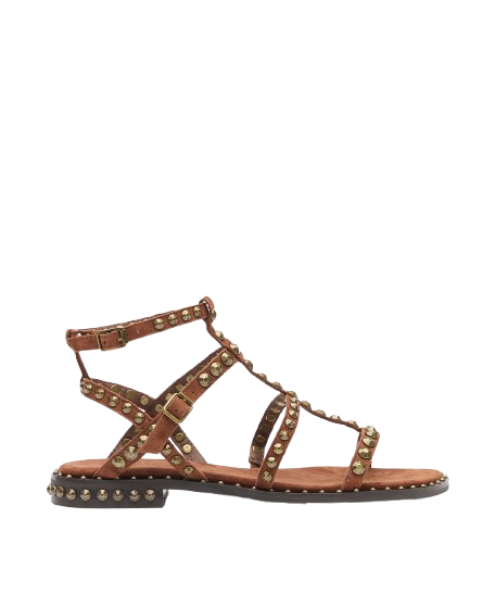 Sandalo ASH Precious con borchie
Marrone