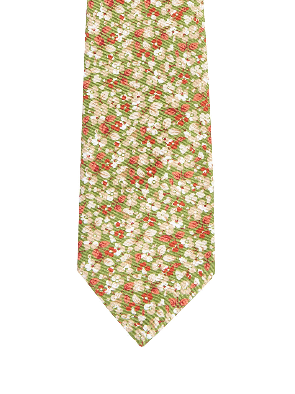 Cravatta PETRONIUS Fiore
Verde/ruggine